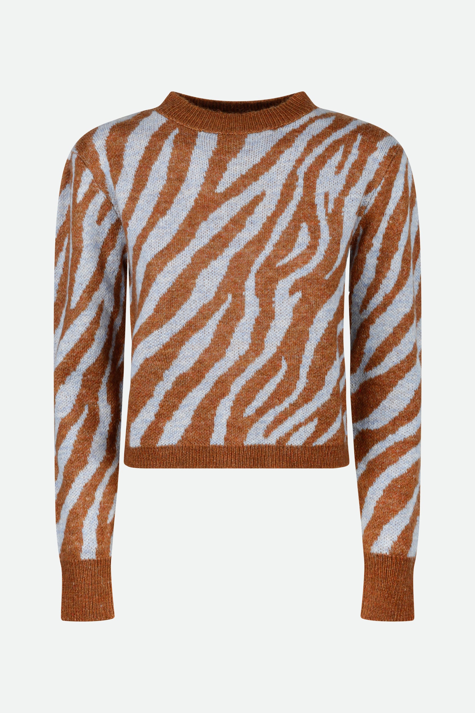 Weili Zheng Pullover Zebrato Multicolore