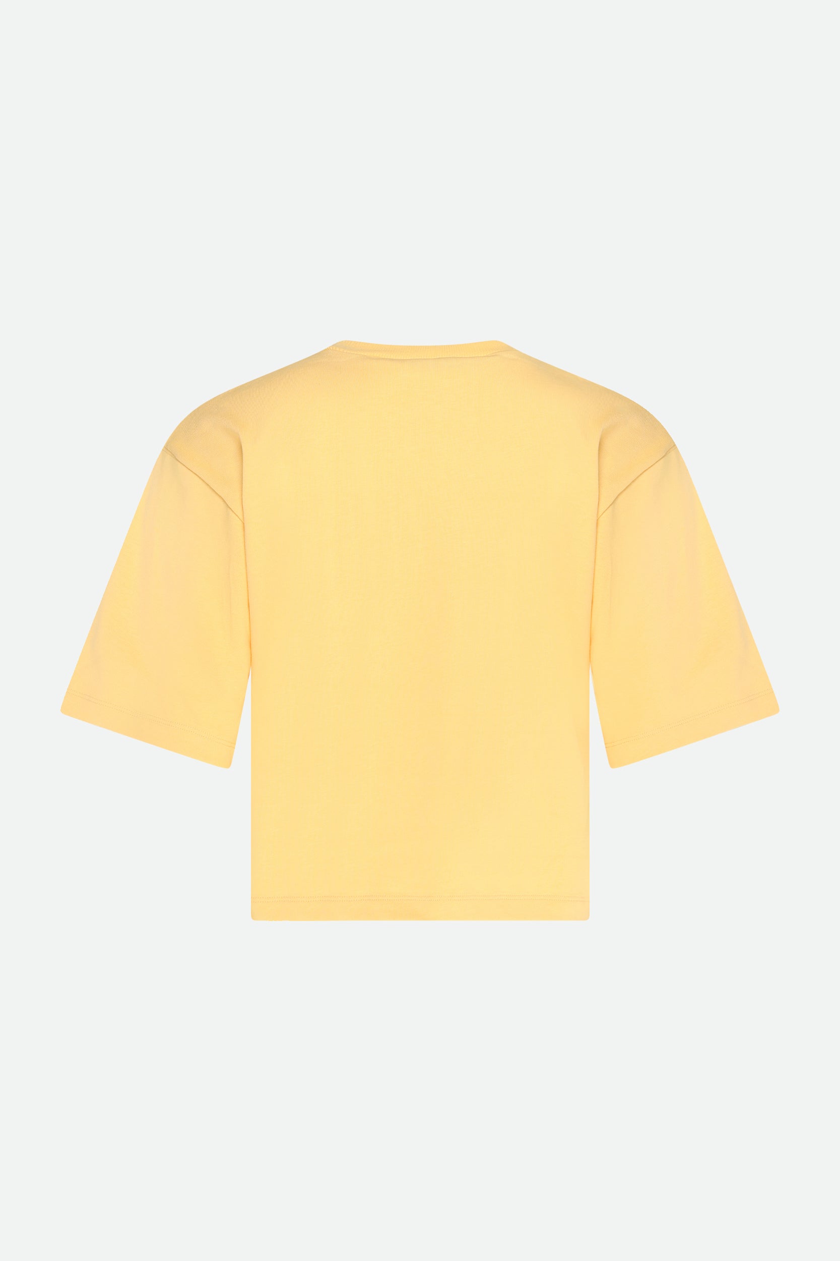 Sportmax T-Shirt with Print Yellow