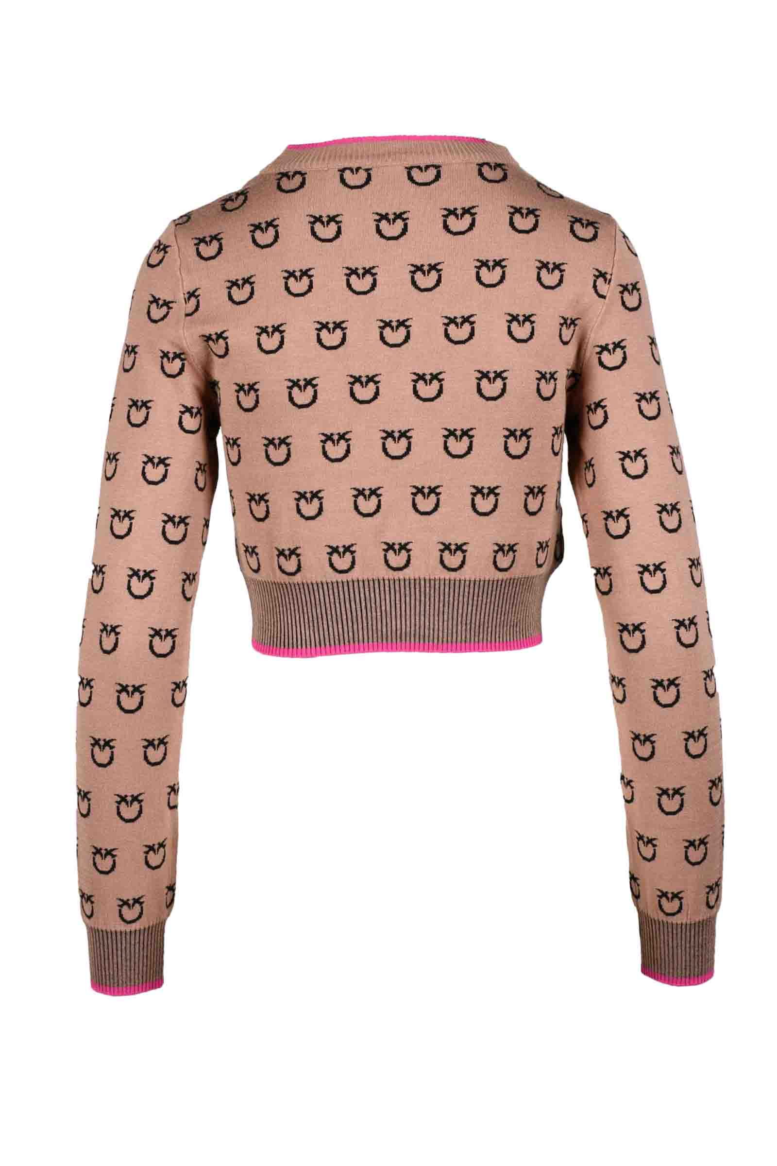 Pinko Sweater