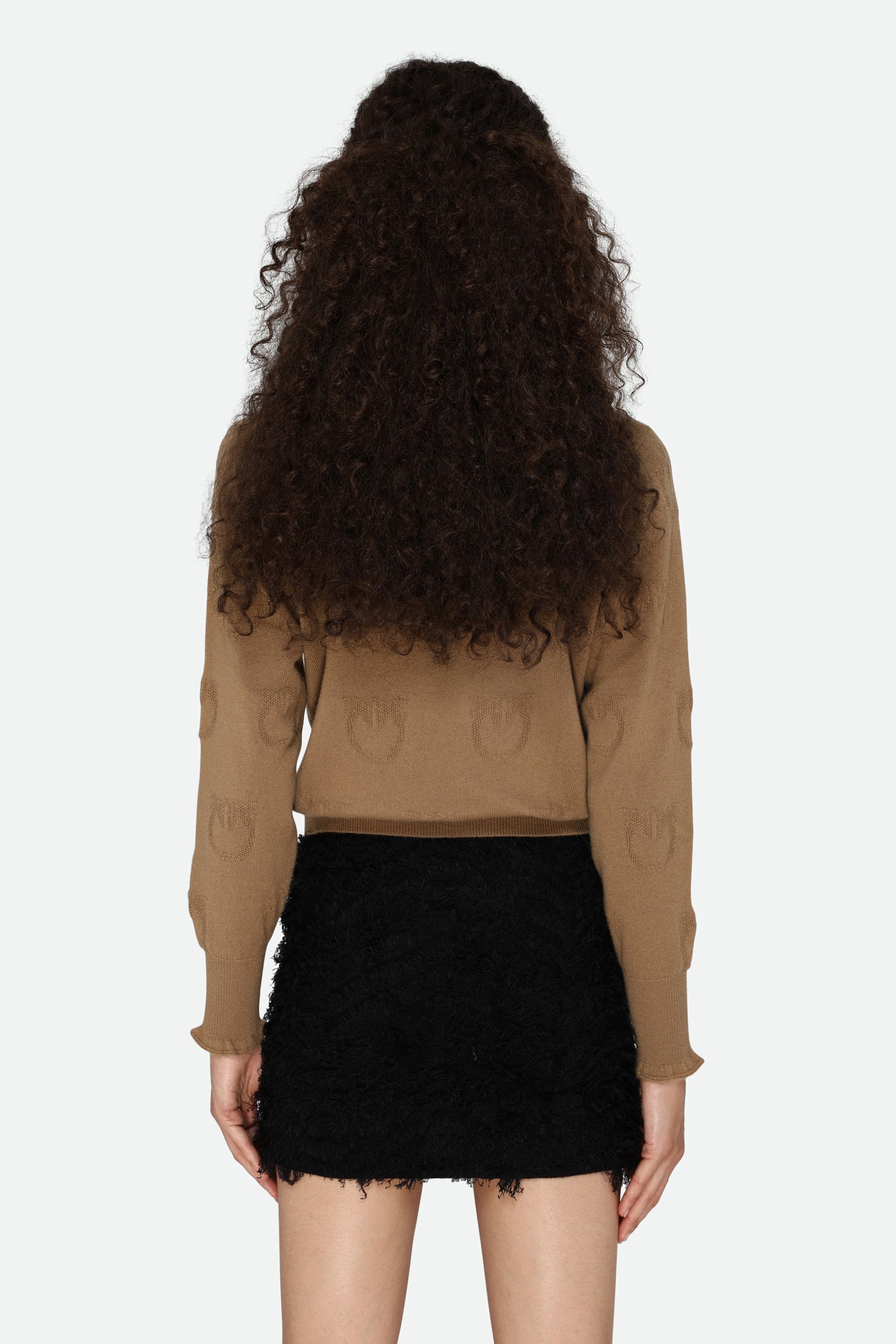 Pinko Brown Sweater