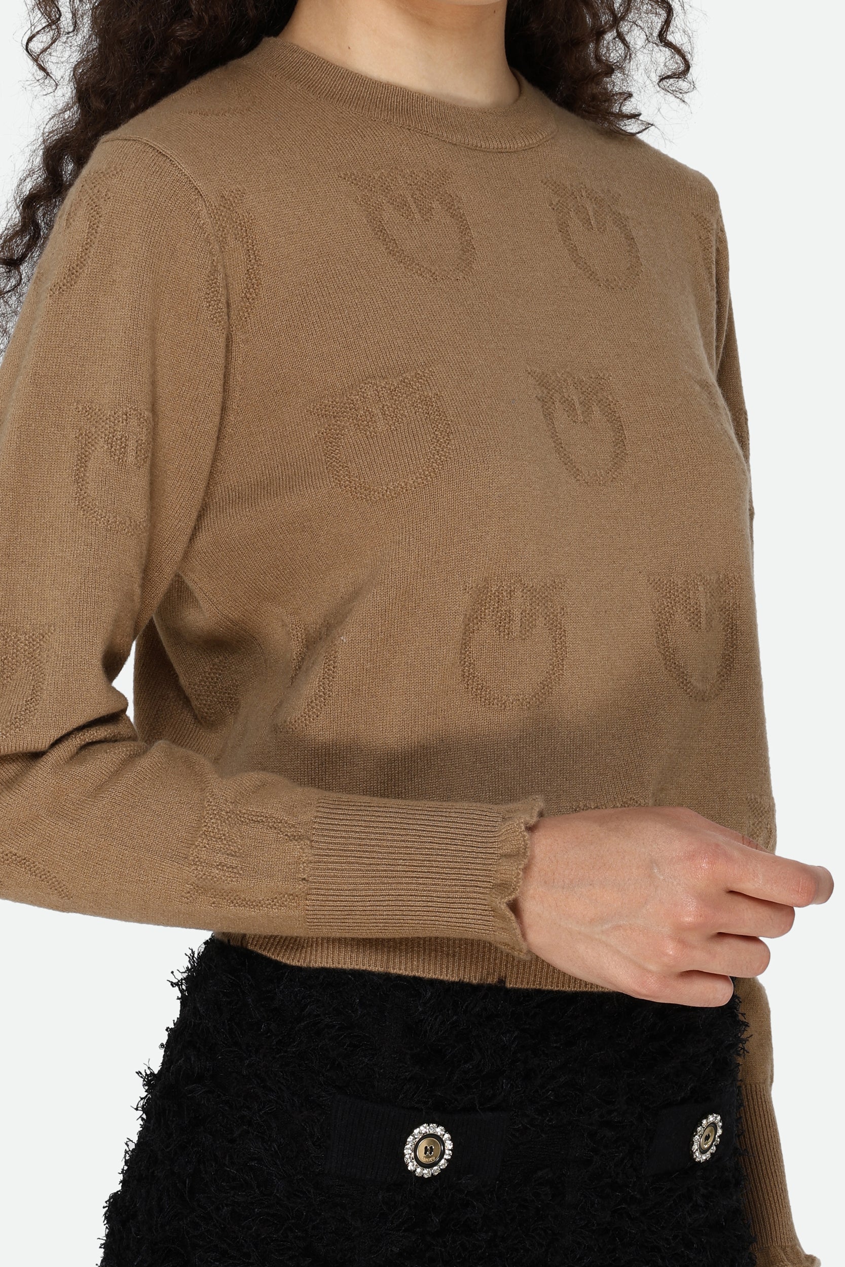 Pinko Brown Sweater