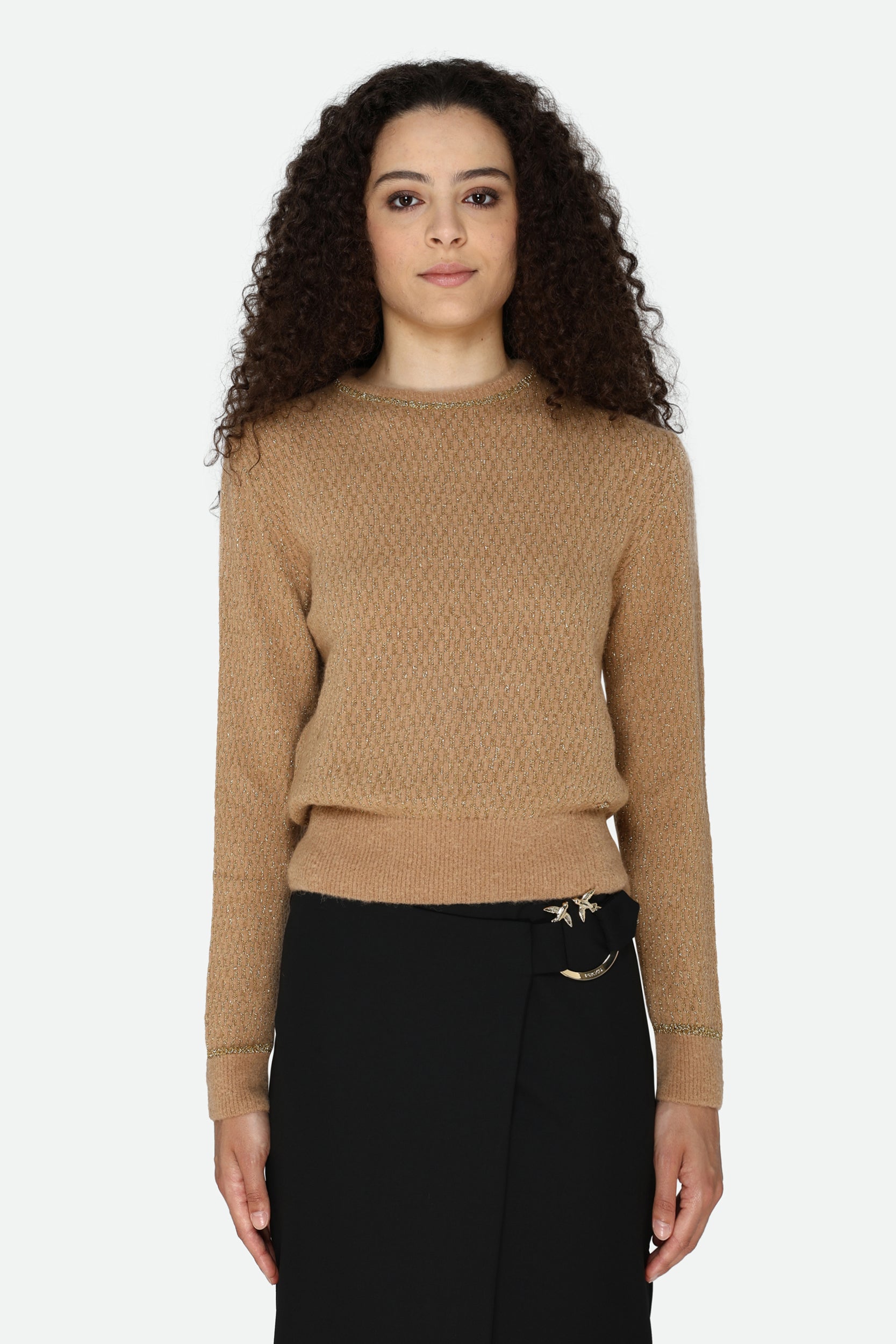 Pinko Camel Sweater