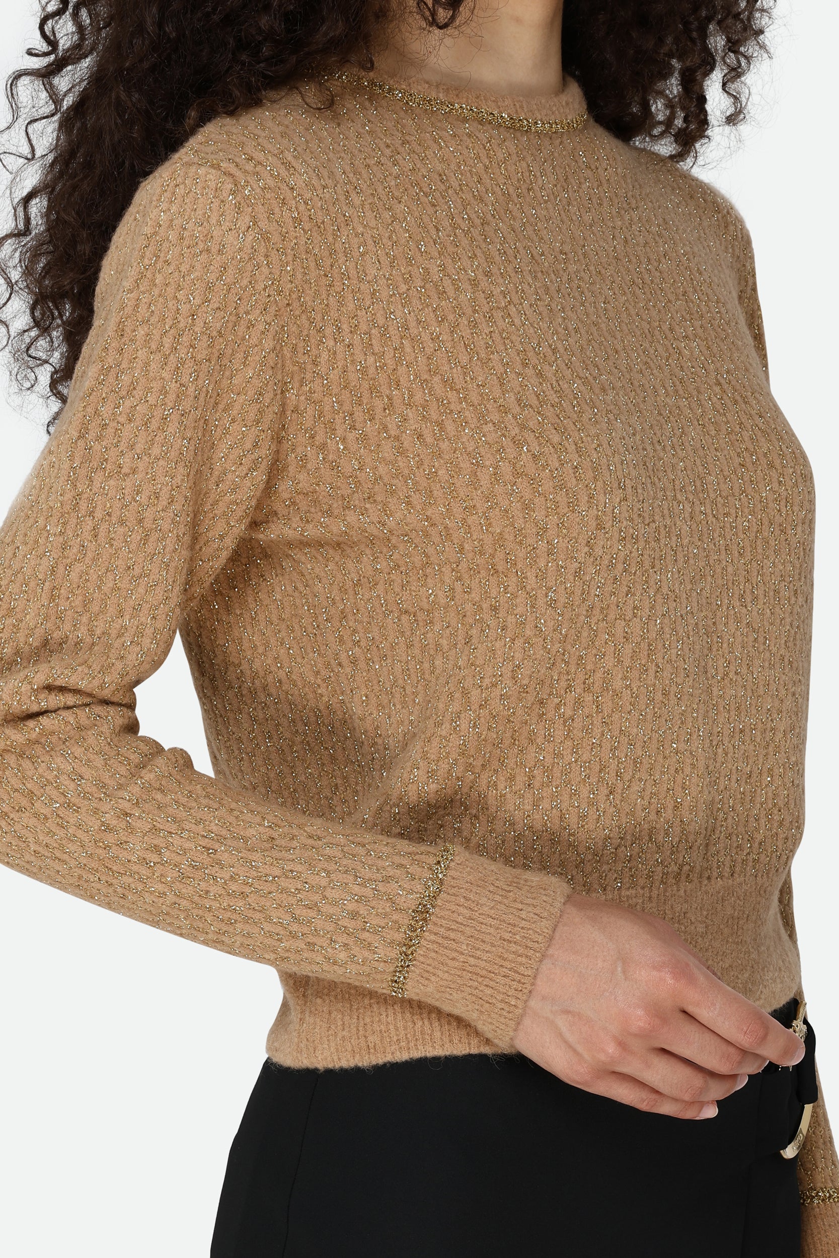 Pinko Camel Sweater